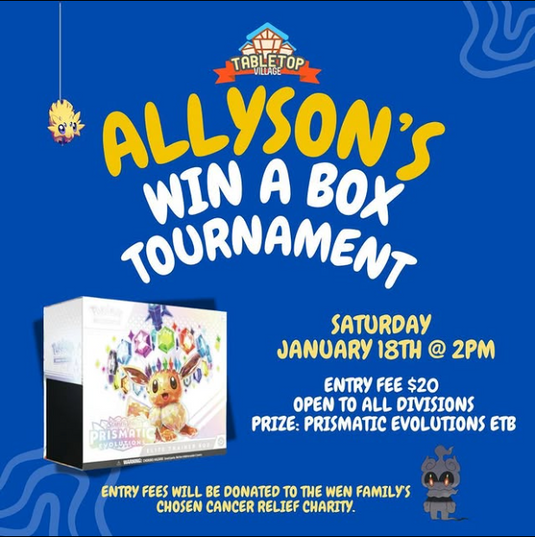 Allyson Donation Charity Event